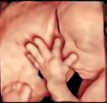 https://your4dbaby.com/wp-content/uploads/2023/07/24-weeks-3d-hd-baby-ultrasound_1.jpg